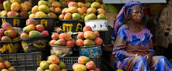 Malgré le poids économique important de la filière mangue au Burkina Faso, les personnes intégrées à ces chaînes de valeur évoluent dans un contexte social et sanitaire peu avantageux © R. Belmin, Cirad